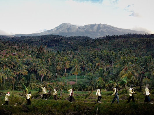 Profil Nagari Koto Gadang Koto Anau Kec Lembang Jaya Kab Solok | KKN UNP Tematik 2024